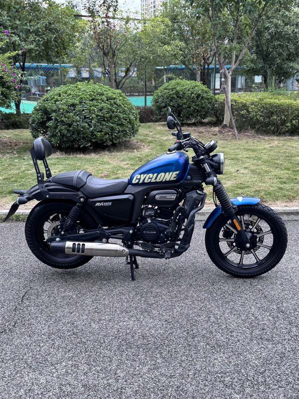 二手赛科龙RA250