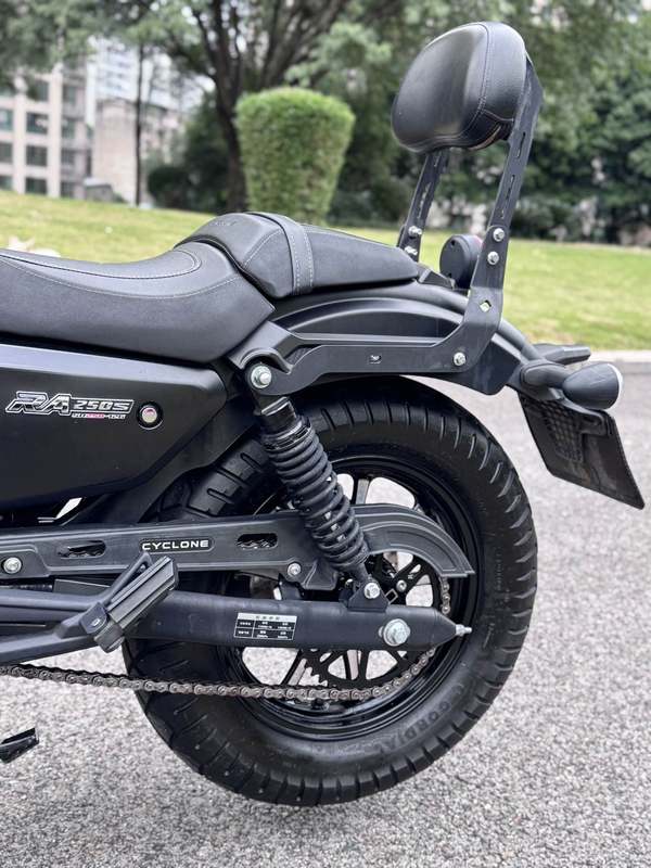 二手赛科龙RA250