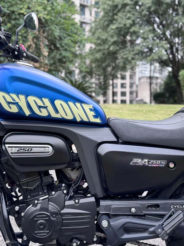 二手赛科龙RA250