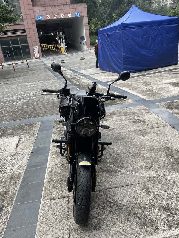 二手贝纳利幼狮 Leoncino 500