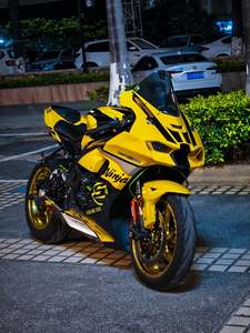二手川崎Ninja ZX-10R
