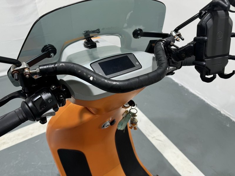 二手阿雷纳鸭嘴兽 Platypus