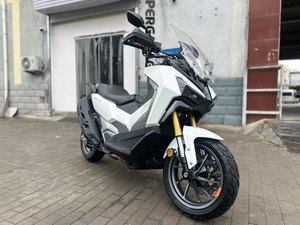 二手三阳剑齿虎 ADXTG