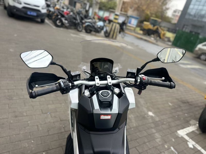 二手三阳剑齿虎 ADXTG