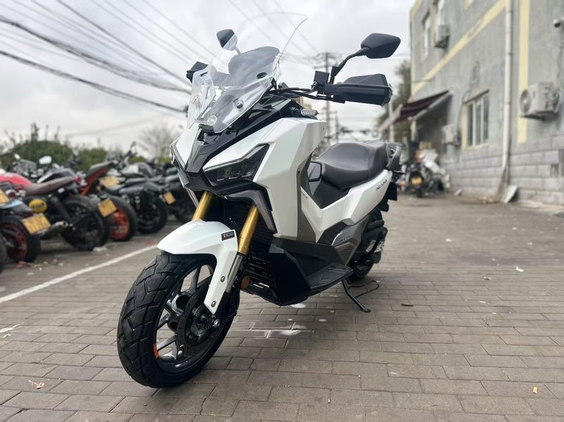 二手三阳剑齿虎 ADXTG