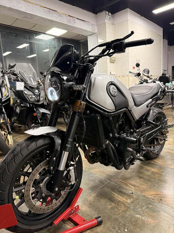 二手贝纳利幼狮 Leoncino 500