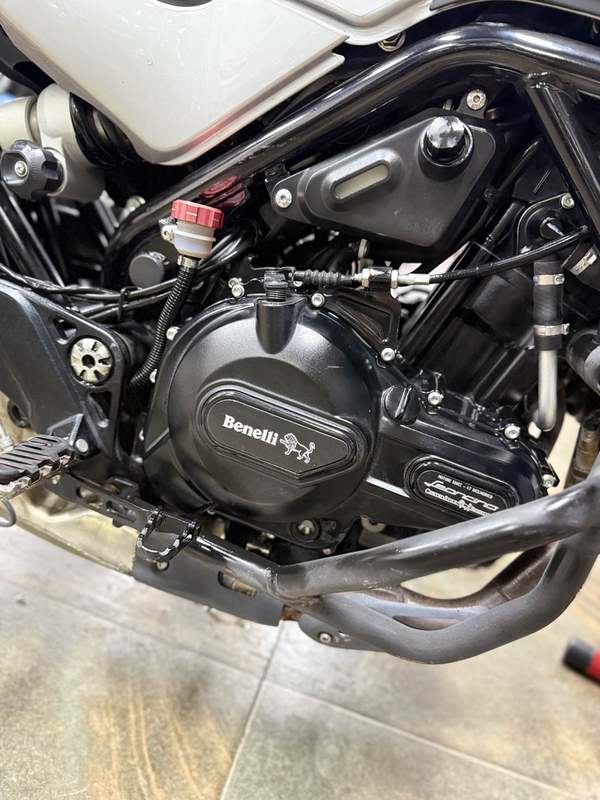 二手贝纳利幼狮 Leoncino 500