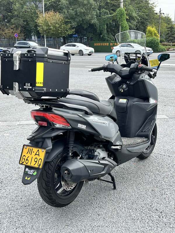 二手三阳Joymax F 300