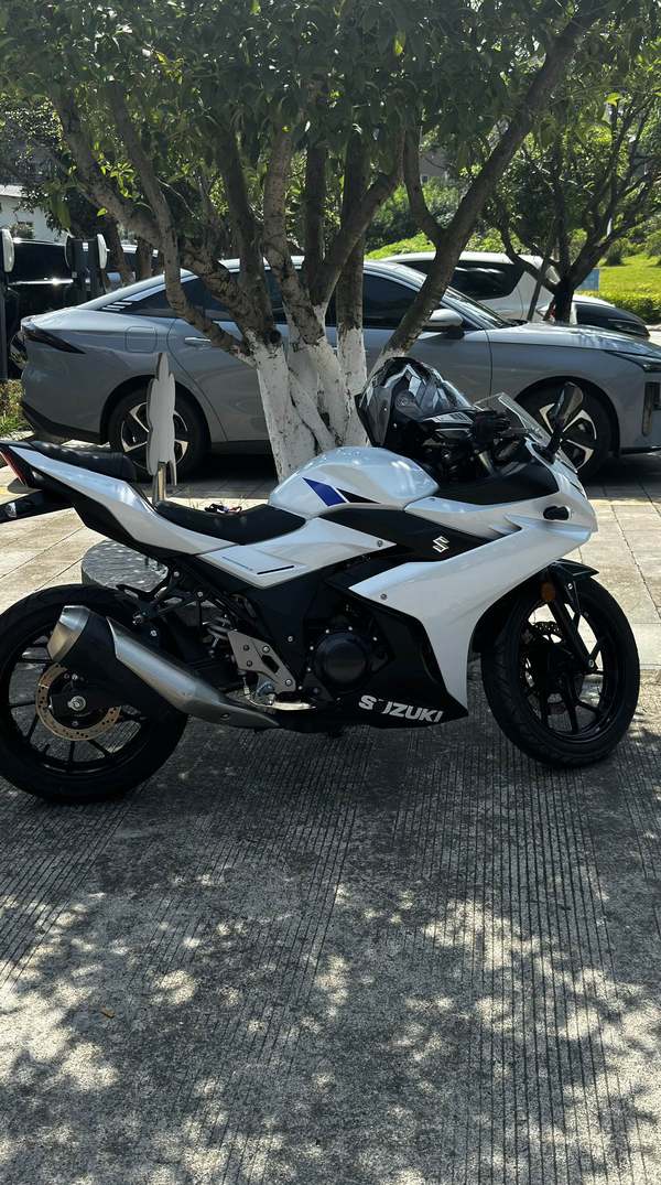 二手豪爵铃木GSX250R