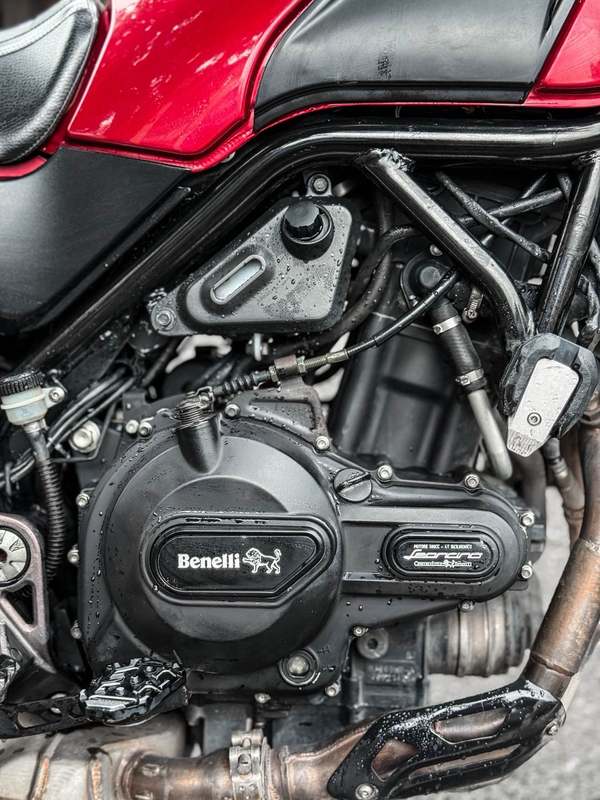 二手贝纳利幼狮 Leoncino 500