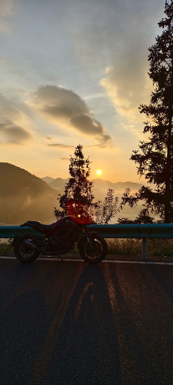 二手贝纳利幼狮 Leoncino 500