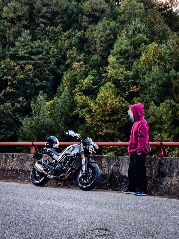 二手贝纳利幼狮 Leoncino 500