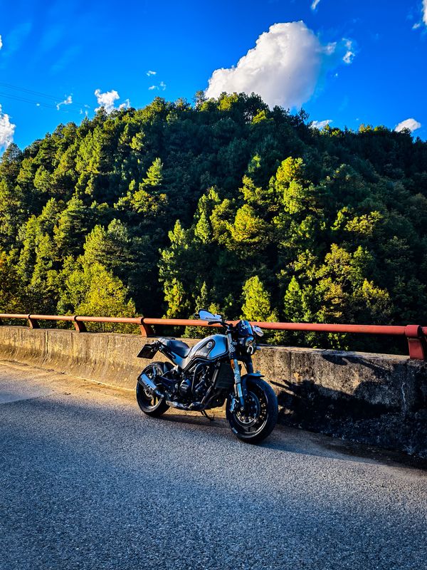 二手贝纳利幼狮 Leoncino 500