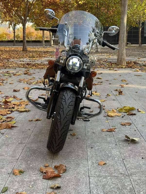 二手印第安侦察兵 Scout 