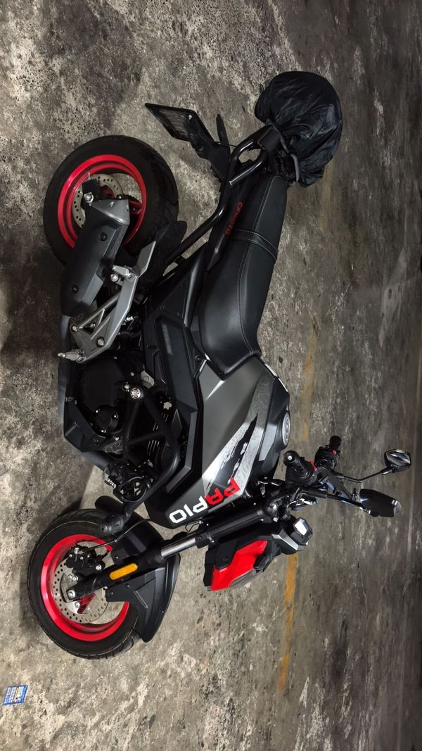 二手春风ST狒狒