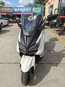 二手三阳Joymax Z 300