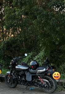 二手哈雷戴维森STREET ROD街路德 