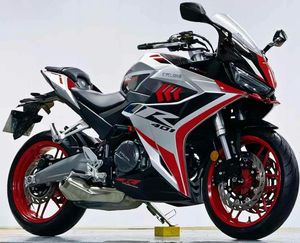 二手赛科龙RC401