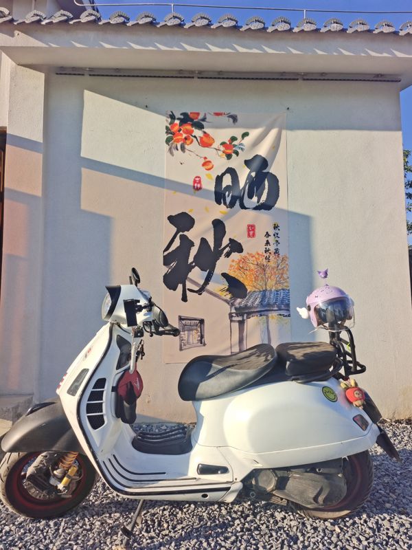 二手VESPAGTS Touring 