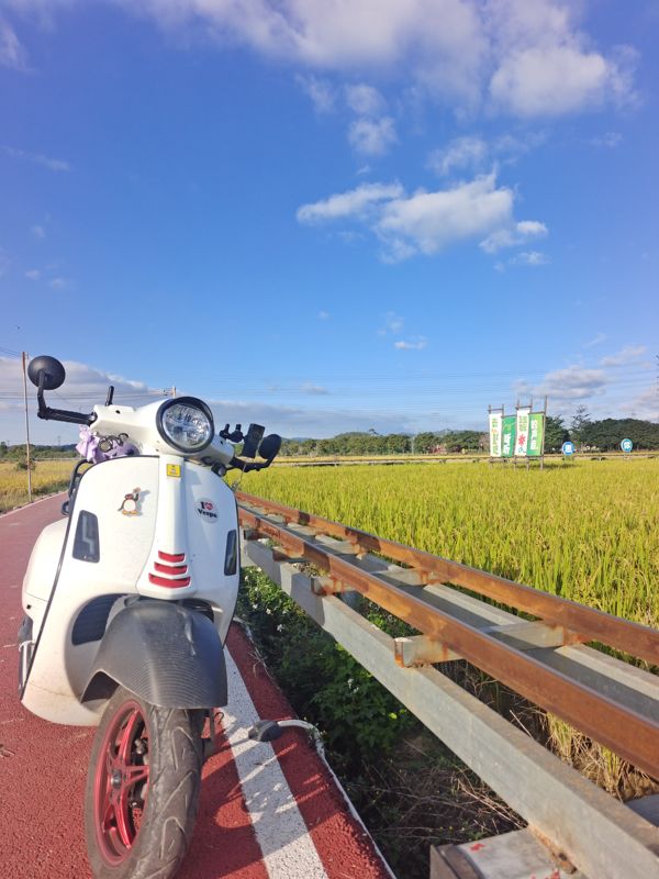 二手VESPAGTS Touring 