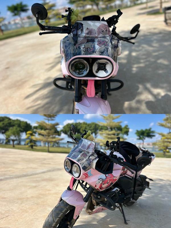 二手春风XO狒狒