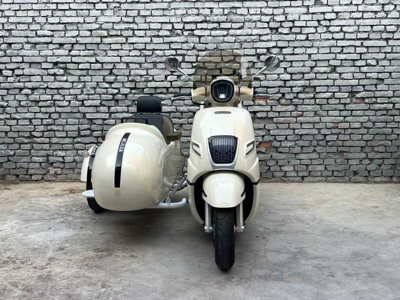 二手南方梦拉丽莎 飞戈边三轮