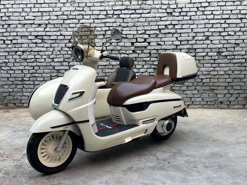 二手南方梦拉丽莎 飞戈边三轮