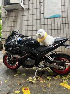 二手赛科龙RC401