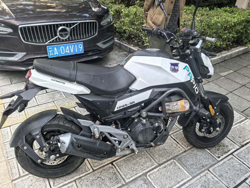 二手春风ST狒狒