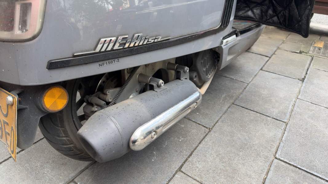 二手南方梦拉丽莎 Melalisa150