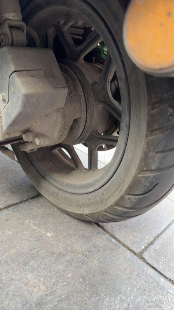 二手南方梦拉丽莎 Melalisa150