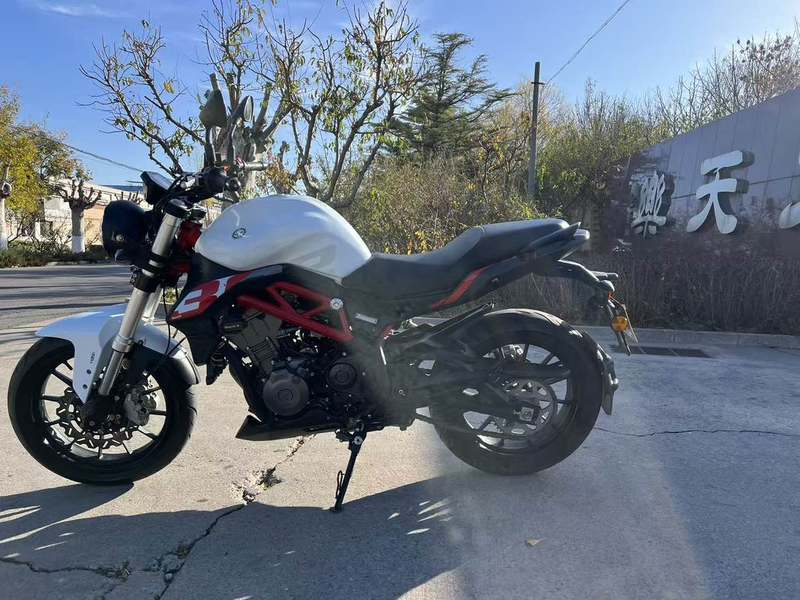 二手贝纳利蓝宝龙 BN302S