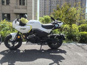 二手春风XO狒狒