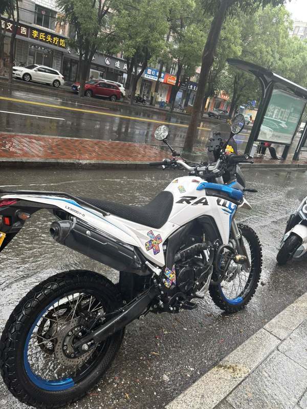 二手无极300GY Rally