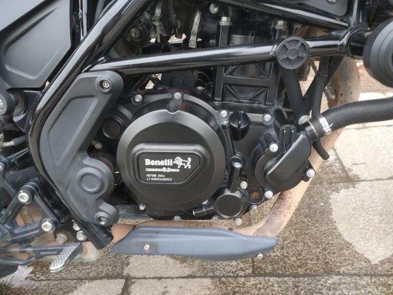 二手贝纳利幼狮 Leoncino 250