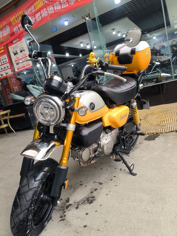 二手斯托纳猿猴