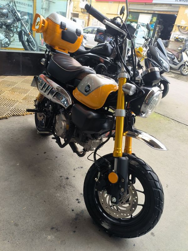 二手斯托纳猿猴