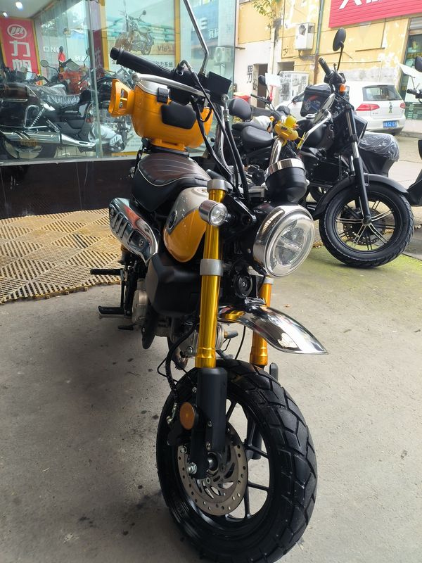 二手斯托纳猿猴