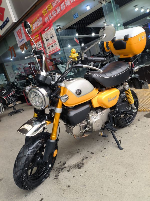 二手斯托纳猿猴