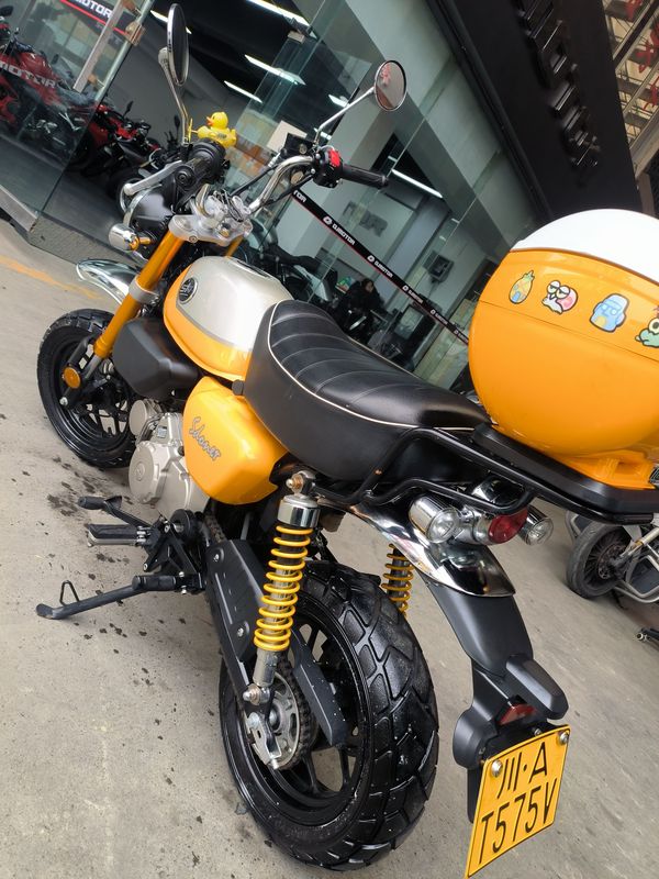 二手斯托纳猿猴