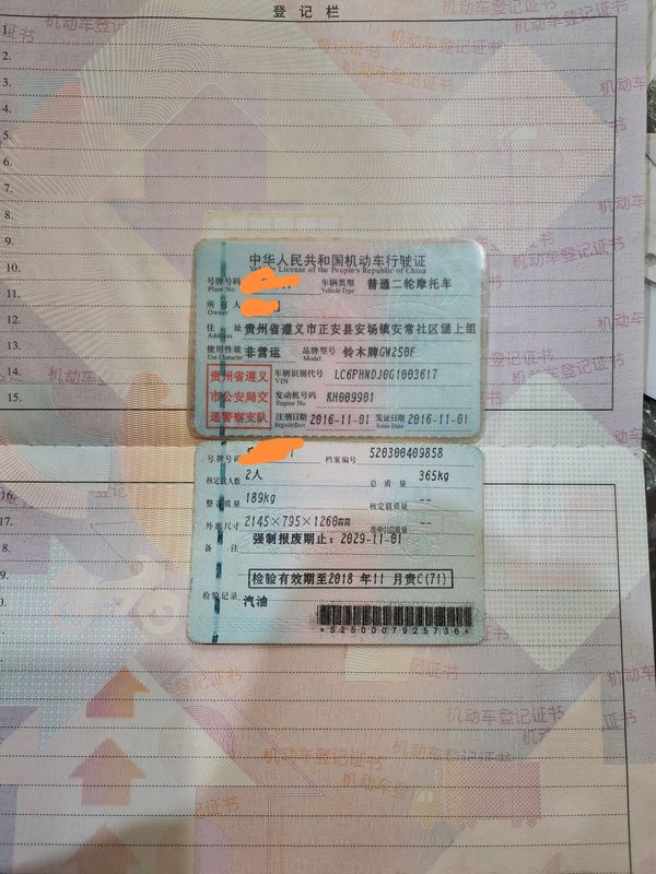 二手豪爵铃木骊驰 GW 250F