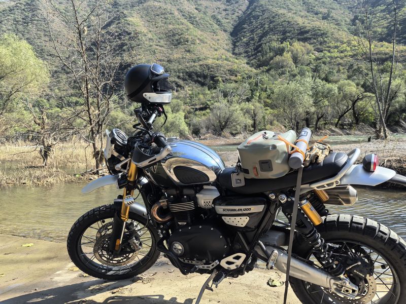 二手凯旋Scrambler 1200