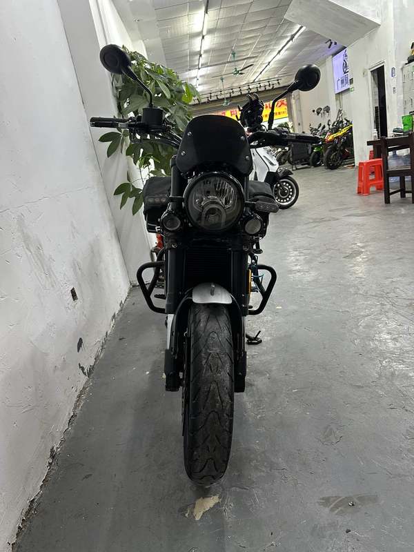 二手贝纳利幼狮 Leoncino 500