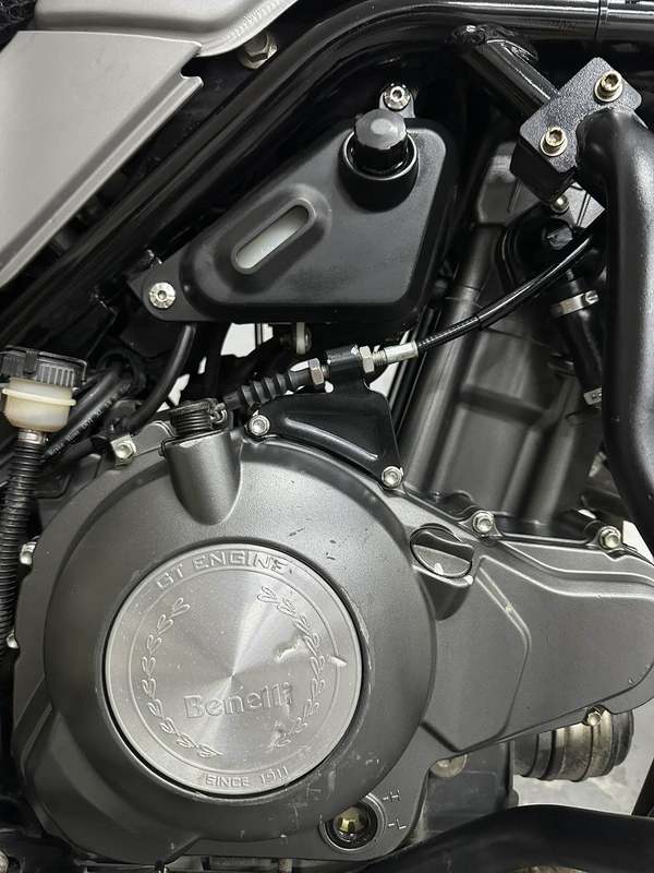 二手贝纳利幼狮 Leoncino 500