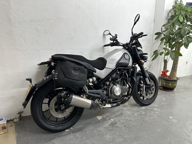 二手贝纳利幼狮 Leoncino 500