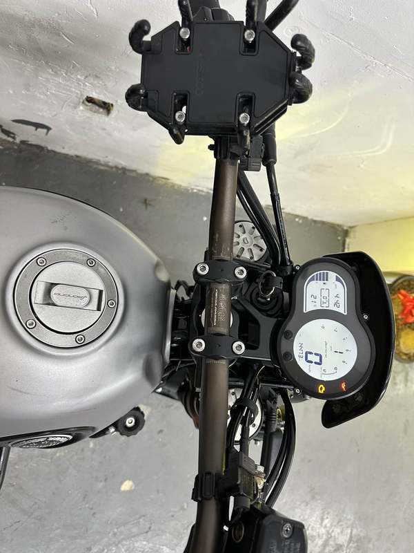 二手贝纳利幼狮 Leoncino 500