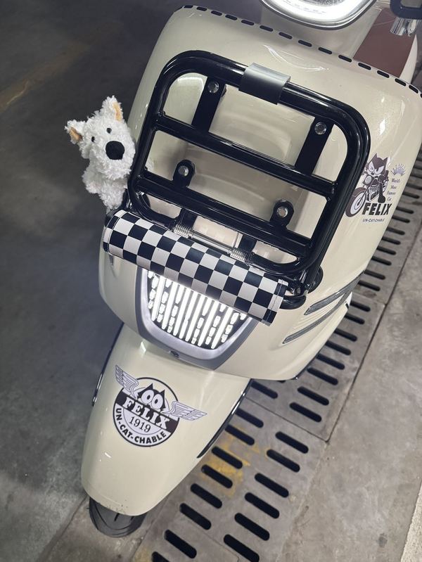 二手南方梦拉丽莎 飞戈