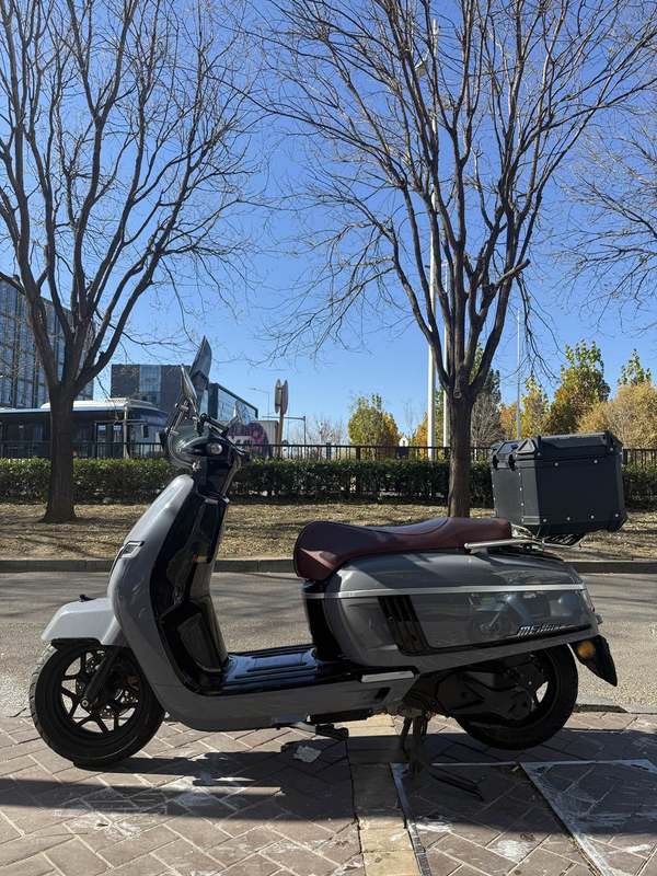 二手南方梦拉丽莎 Melalisa150