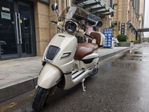 二手南方梦拉丽莎 飞戈