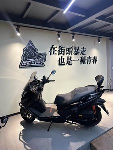 二手QJMOTOR鸿250